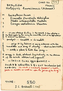 岩田久二雄フィールドノート