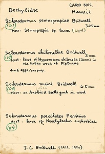 岩田久二雄フィールドノート