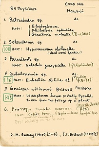 岩田久二雄フィールドノート