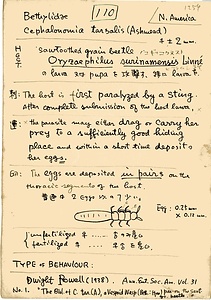 岩田久二雄フィールドノート