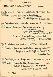 岩田久二雄フィールドノート