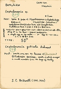 岩田久二雄フィールドノート