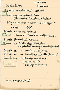 岩田久二雄フィールドノート