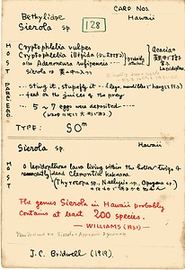 岩田久二雄フィールドノート