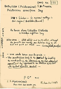 岩田久二雄フィールドノート