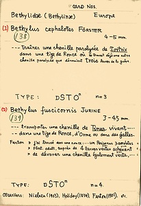 岩田久二雄フィールドノート