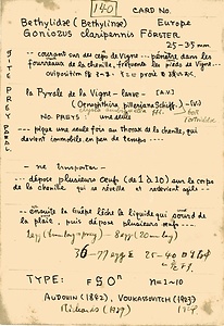 岩田久二雄フィールドノート