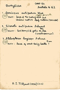 岩田久二雄フィールドノート