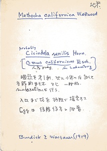 岩田久二雄フィールドノート