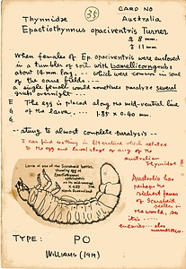 岩田久二雄フィールドノート