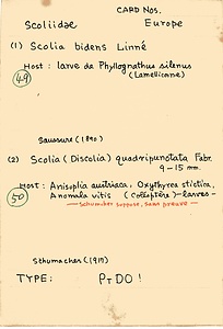 岩田久二雄フィールドノート