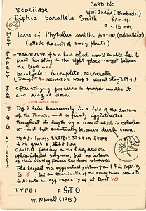 岩田久二雄フィールドノート