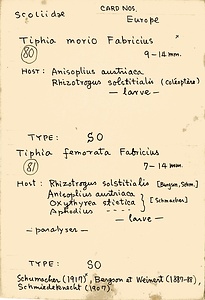 岩田久二雄フィールドノート