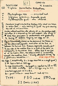 岩田久二雄フィールドノート