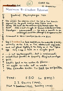 岩田久二雄フィールドノート