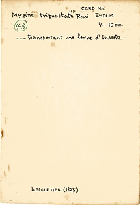 岩田久二雄フィールドノート