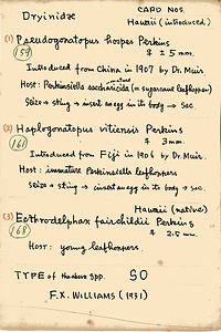 岩田久二雄フィールドノート