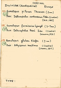 岩田久二雄フィールドノート
