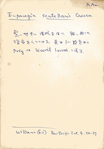 岩田久二雄フィールドノート