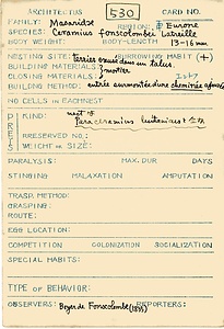 岩田久二雄フィールドノート