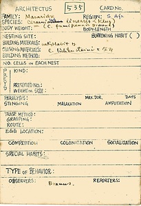 岩田久二雄フィールドノート