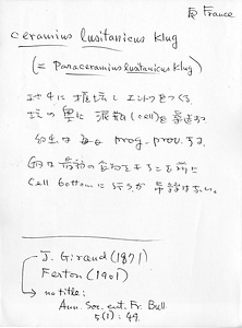 岩田久二雄フィールドノート