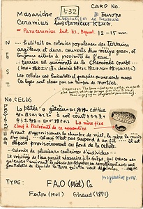 岩田久二雄フィールドノート