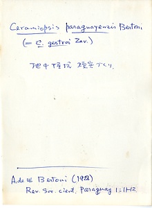 岩田久二雄フィールドノート