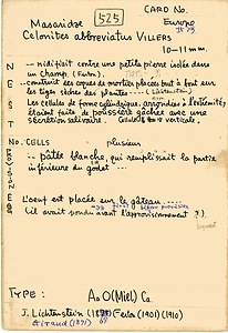 岩田久二雄フィールドノート