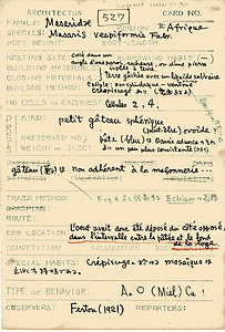 岩田久二雄フィールドノート