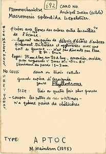 岩田久二雄フィールドノート