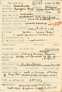 岩田久二雄フィールドノート