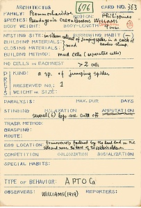 岩田久二雄フィールドノート