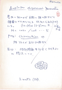 岩田久二雄フィールドノート