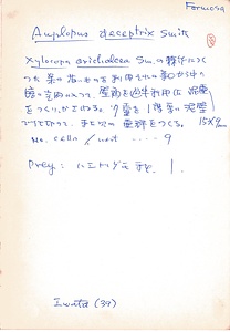 岩田久二雄フィールドノート