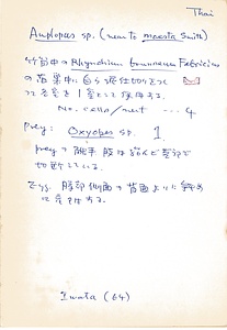 岩田久二雄フィールドノート