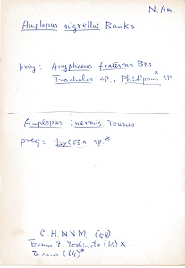 岩田久二雄フィールドノート