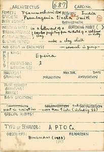 岩田久二雄フィールドノート