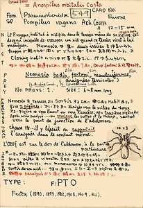 岩田久二雄フィールドノート