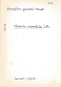 岩田久二雄フィールドノート