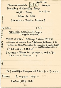 岩田久二雄フィールドノート