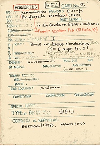 岩田久二雄フィールドノート