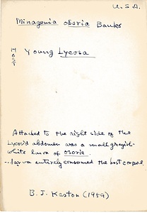 岩田久二雄フィールドノート