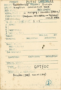 岩田久二雄フィールドノート