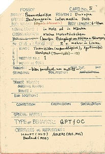 岩田久二雄フィールドノート