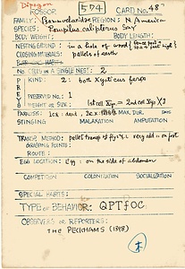 岩田久二雄フィールドノート