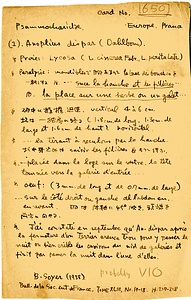 岩田久二雄フィールドノート