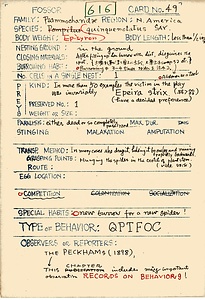 岩田久二雄フィールドノート