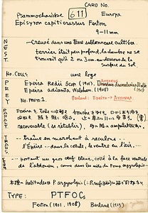 岩田久二雄フィールドノート