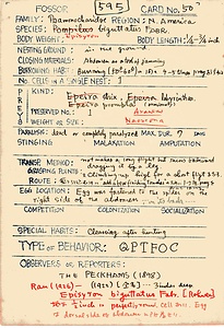 岩田久二雄フィールドノート